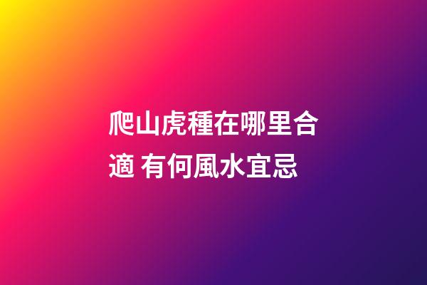 爬山虎種在哪里合適 有何風水宜忌